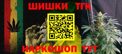 mdpv Заводоуковск
