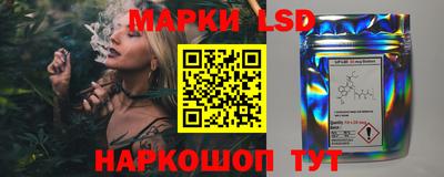 mdpv Заводоуковск