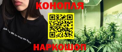 mdpv Заводоуковск