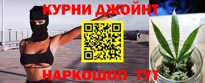 mdpv Заводоуковск