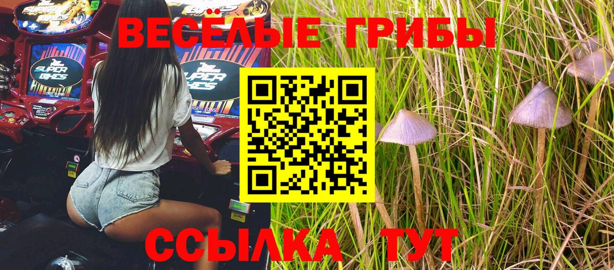 Псилоцибиновые грибы Magic Shrooms  Псилоцибиновые грибы прущие грибы  Вход с VPN  Дивногорск 