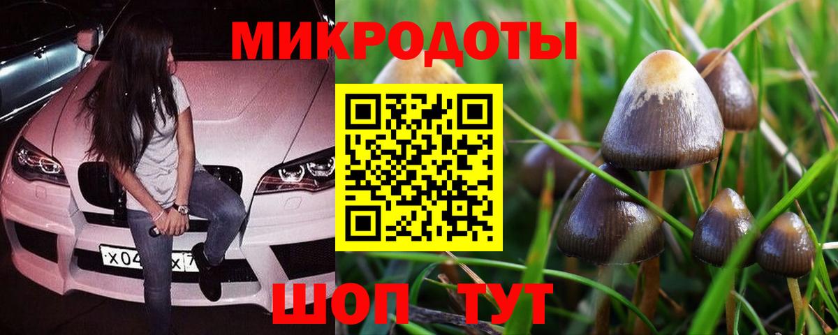 Псилоцибиновые грибы ЛСД Дивногорск
