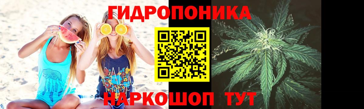 Каннабис Ganja  Шишки марихуана тримм  Бошки марихуана Amnesia  Дивногорск  Вход с VPN 